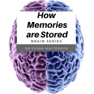 how memories are stored