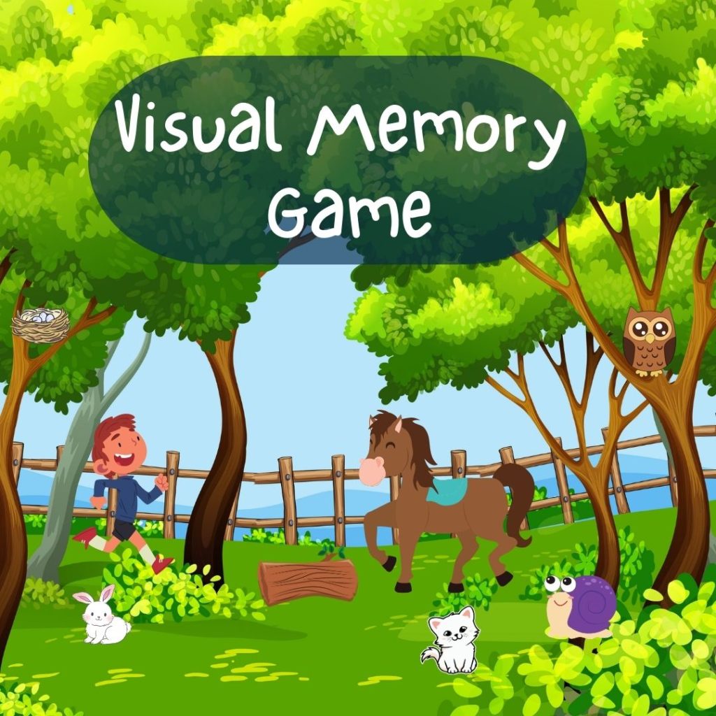 visual memory games